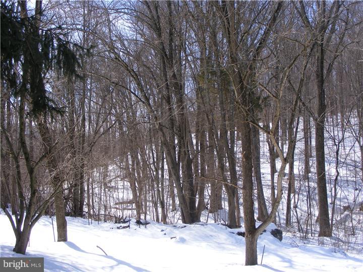 436 Longview Road Boyertown, PA 19512 - Photo 19 of 20 Gallery Image 19