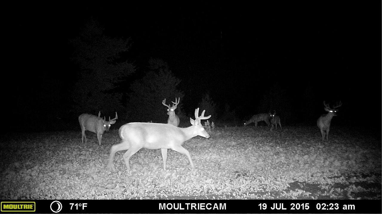 20517 13 Mile Road Copemish, MI 49625 - Photo 37 of 63 1809510-36.JPG