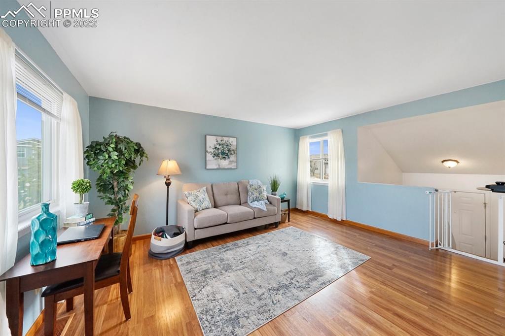 5805 Dutchess Drive Colorado Springs, CO 80923 - Photo 5 of 34 a living room with furniture and a potted plant