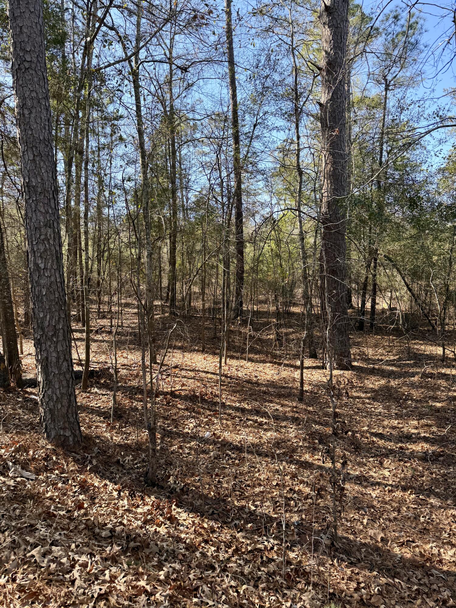 0 Chime Bell Church Road Aiken, SC 29803 - Photo 2 of 13 Gallery Image 2