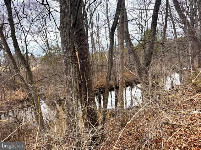 a view of multiple house
