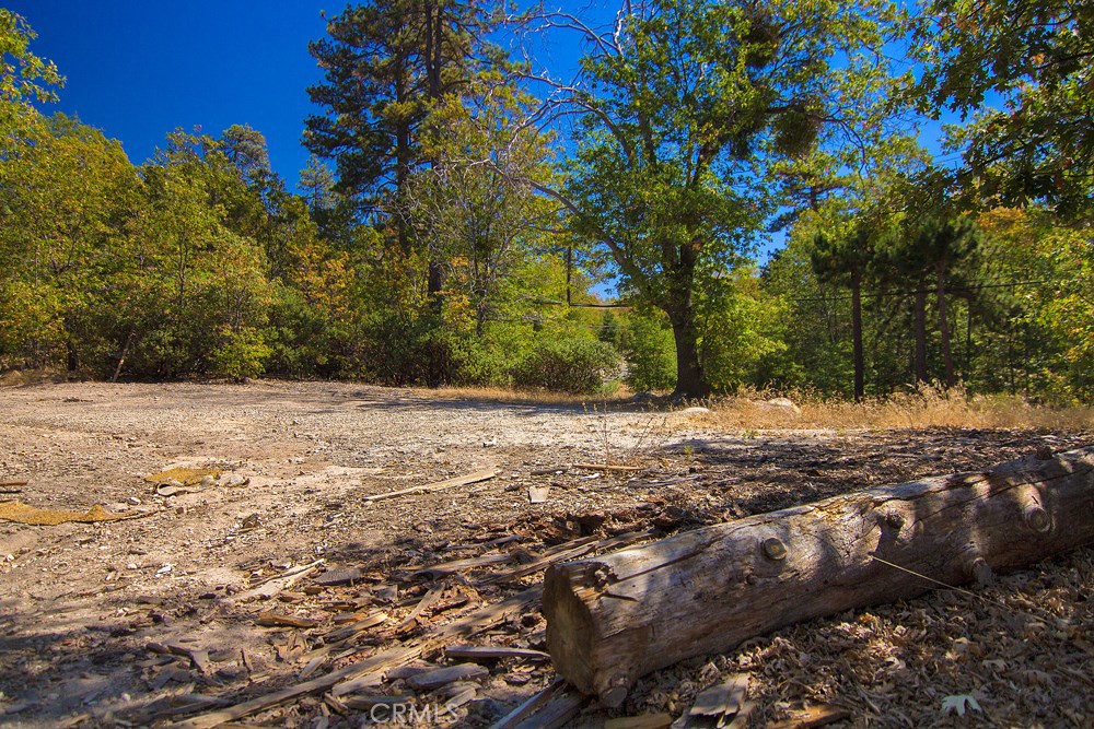 0 North Bay Road Lake Arrowhead, CA 92352 - Photo 11 of 16 a view of yard