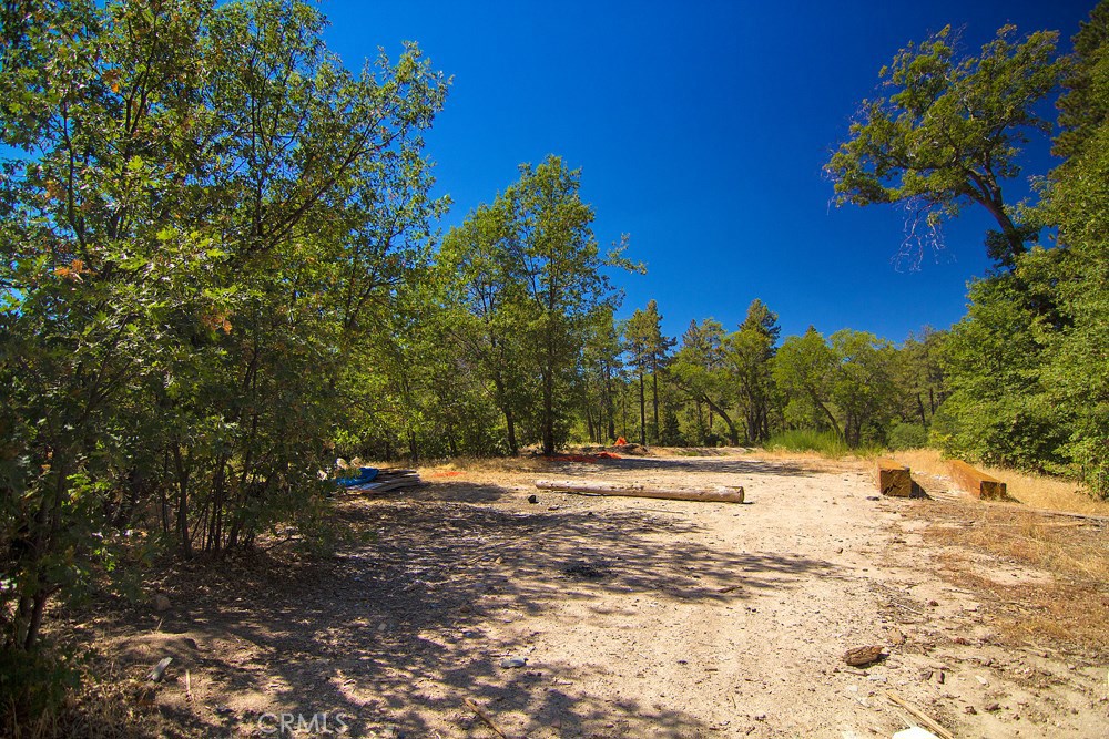 0 North Bay Road Lake Arrowhead, CA 92352 - Photo 12 of 16 a view of dirt yard with a large trees