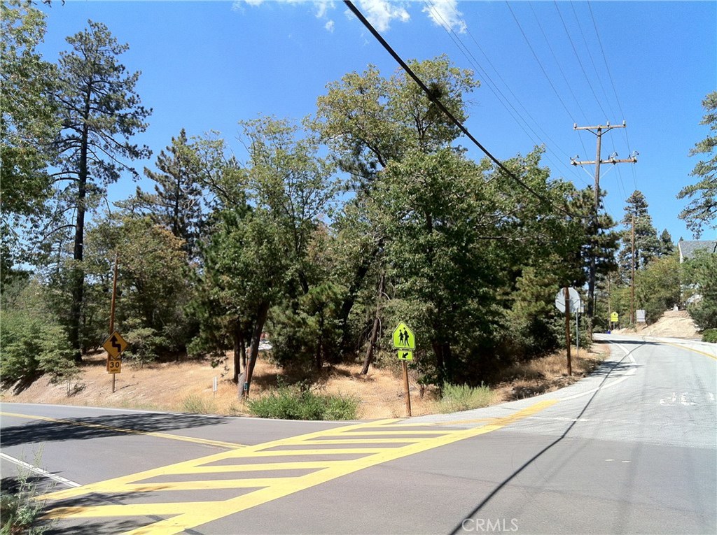 0 North Bay Road Lake Arrowhead, CA 92352 - Photo 8 of 16 a view of a backyard of the house
