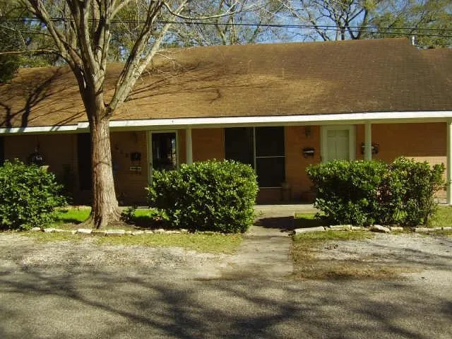 front view of house with potted plants