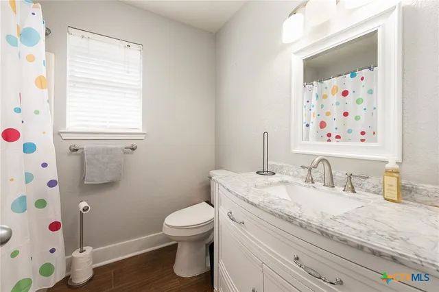 a bathroom with a sink toilet and vanity