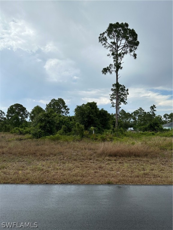 1245 Edelweiss St East  