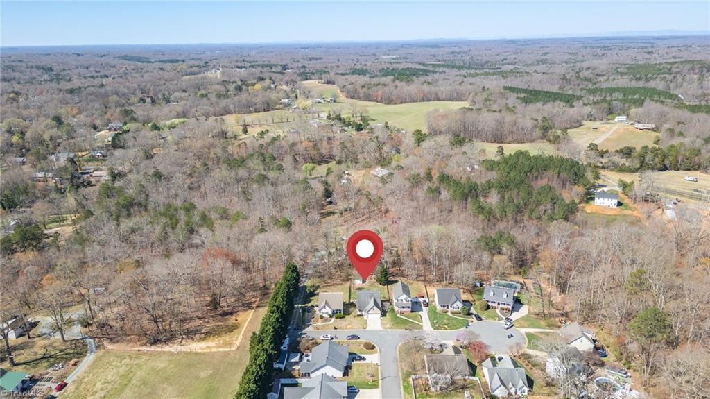3564 Millie Lane Pfafftown, NC 27040 - Photo 38 of 40 Overview