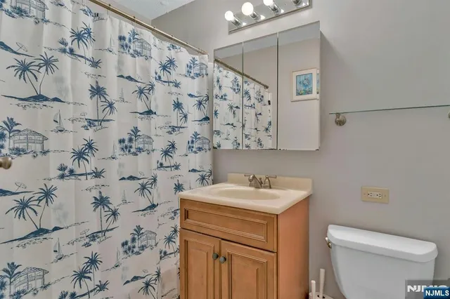 a bathroom with a sink and a toilet