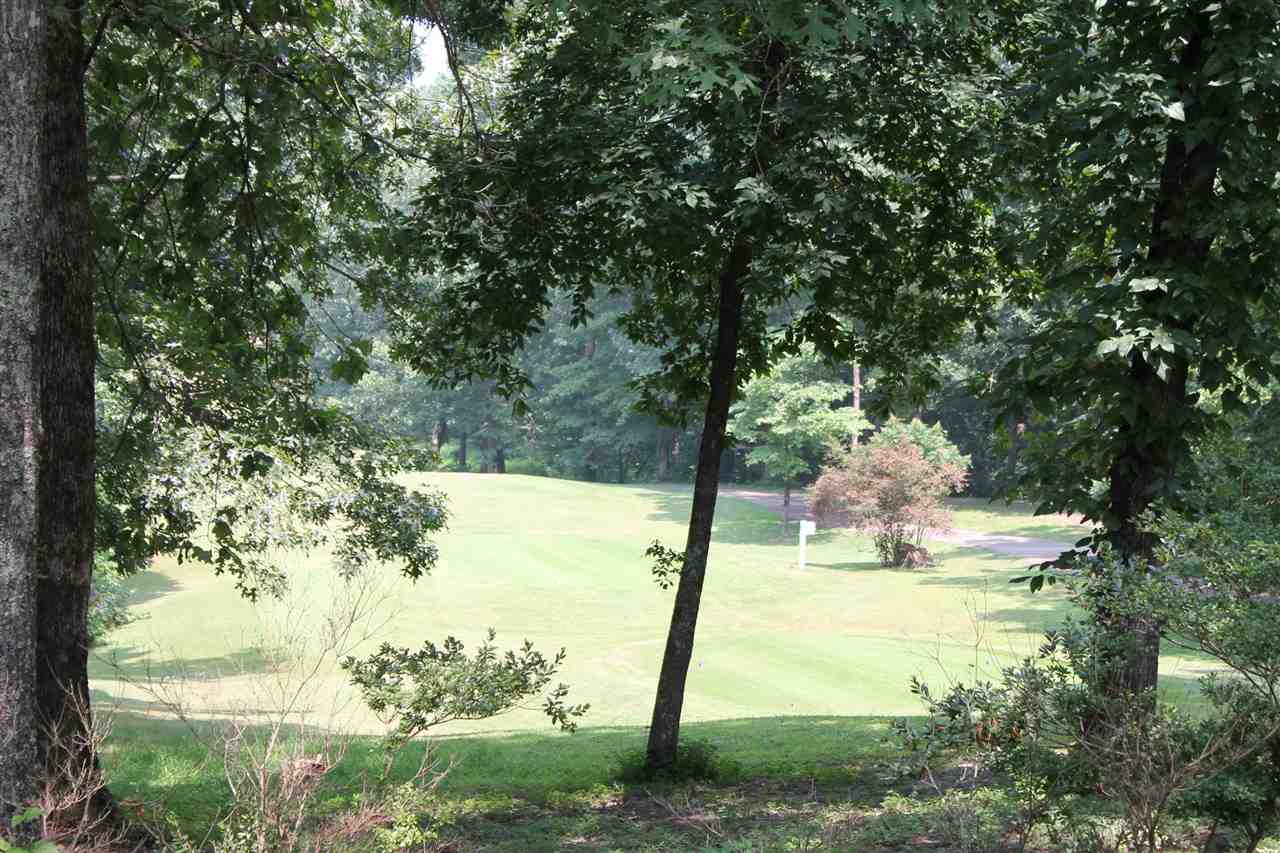 645 Old South Road Counce, TN 38326 - Photo 17 of 21 Gallery Image 17
