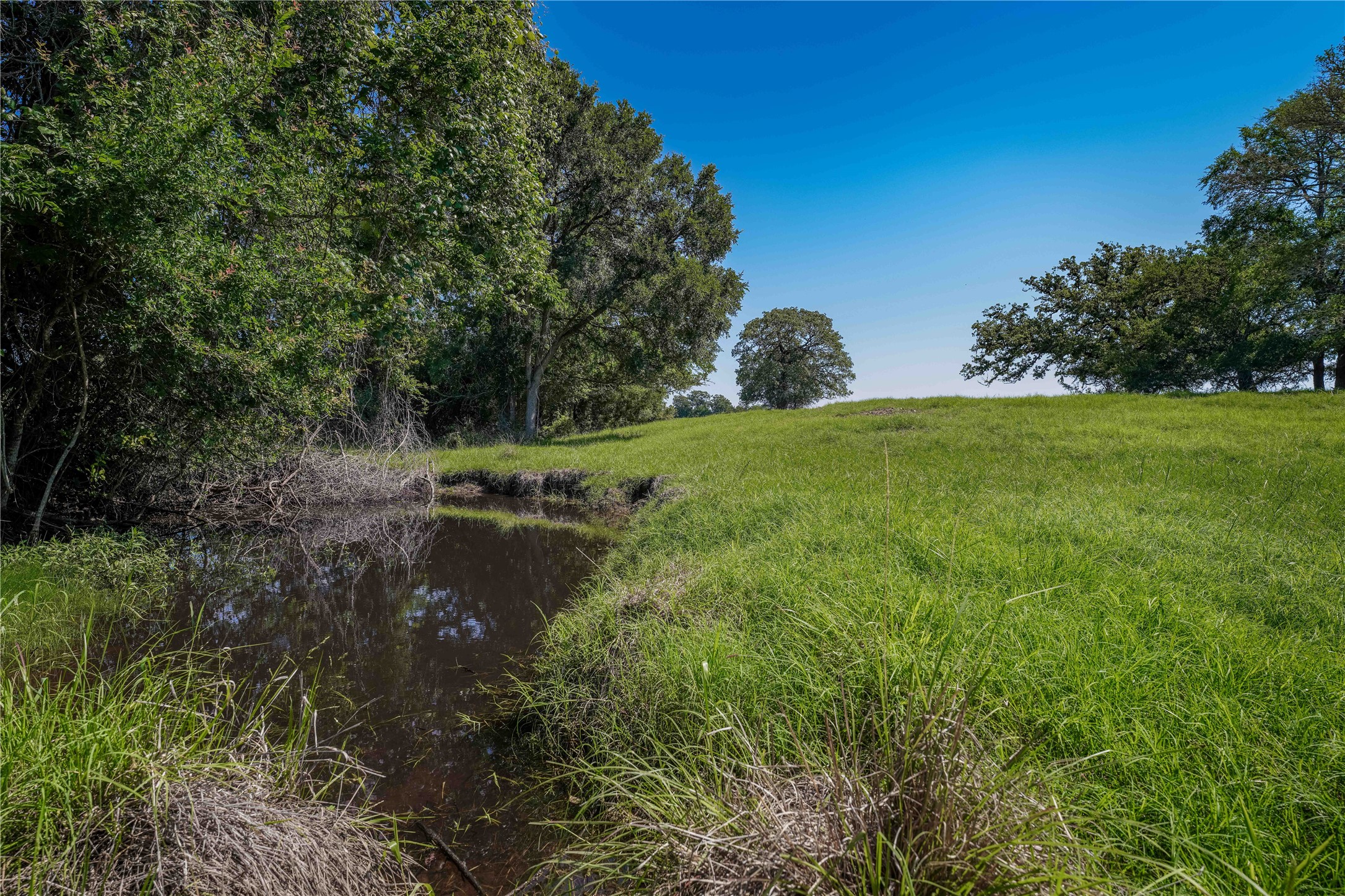 Tbd Warda Church Road Giddings, TX 78942 - Photo 2 of 29