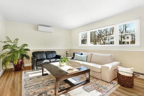 a living room with furniture and a potted plant