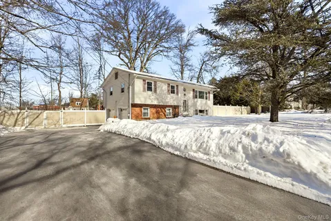 a view of a yard with a large tree
