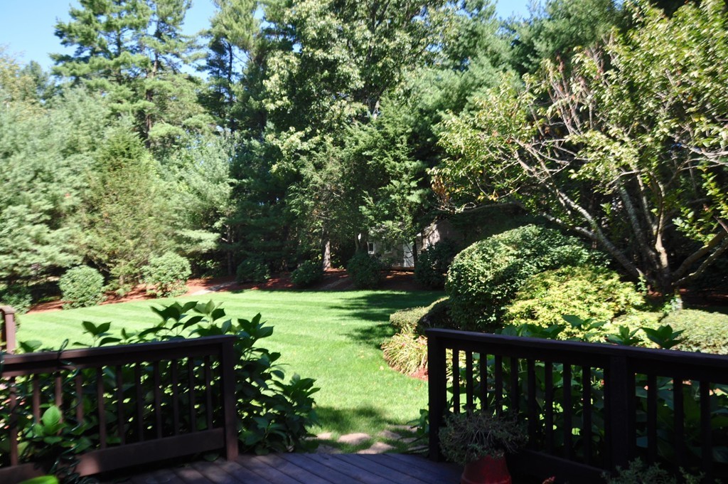 64 Draper Road Dover, MA 02030 - Photo 20 of 21 Gallery Image 20