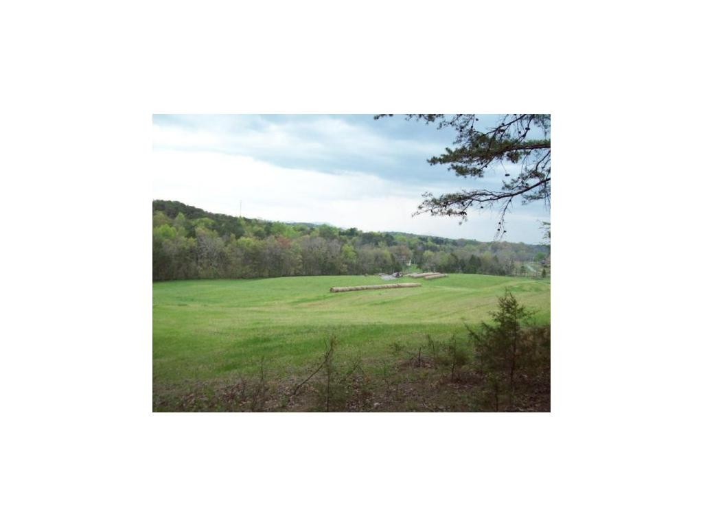 683 Timber Ridge Road Greeneville, TN 37743 - Photo 5 of 23 Photo 5