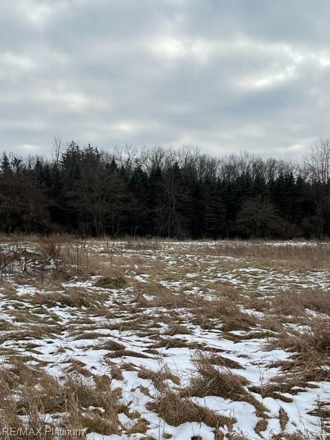 V/l Oak Grove Road Howell, MI 48855 - Photo 17 of 24