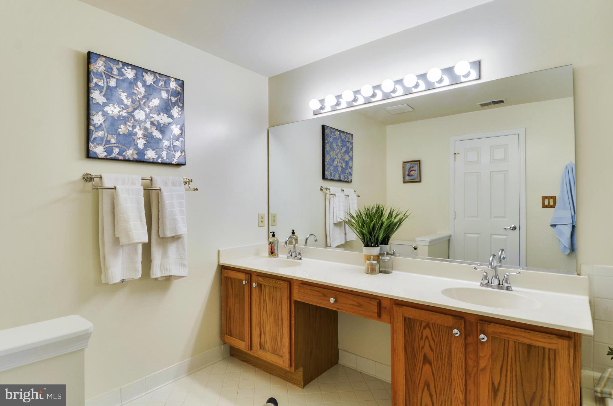 304 Ridgepoint Place, Unit 24 Gaithersburg, MD 20878 - Photo 15 of 30 Bath (Master)