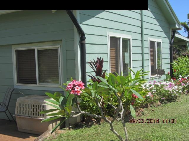 779 Mopua Street Haiku, HI 96708 - Photo 1 of 16 a vase of flowers sitting on a wooden floor