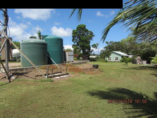 779 Mopua Street Haiku, HI 96708 - Photo 14 of 16 a backyard of a house with lots of green space