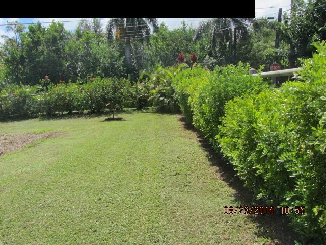 779 Mopua Street Haiku, HI 96708 - Photo 3 of 16 a view of a garden with plants