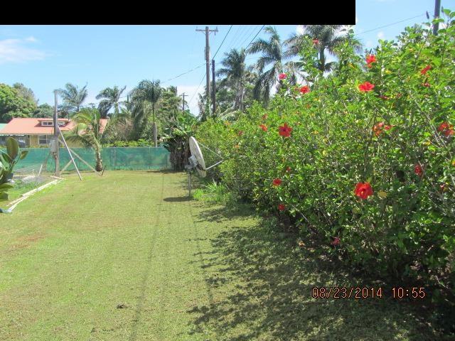 779 Mopua Street Haiku, HI 96708 - Photo 4 of 16 a view of a yard with an tree