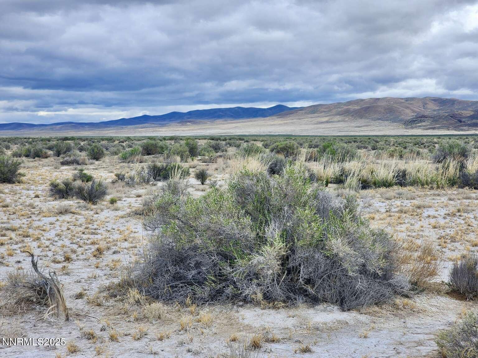 0 Martin Rd Crescent Valley Crescent Valley, NV 89821 - Photo 14 of 29 Sharp.14