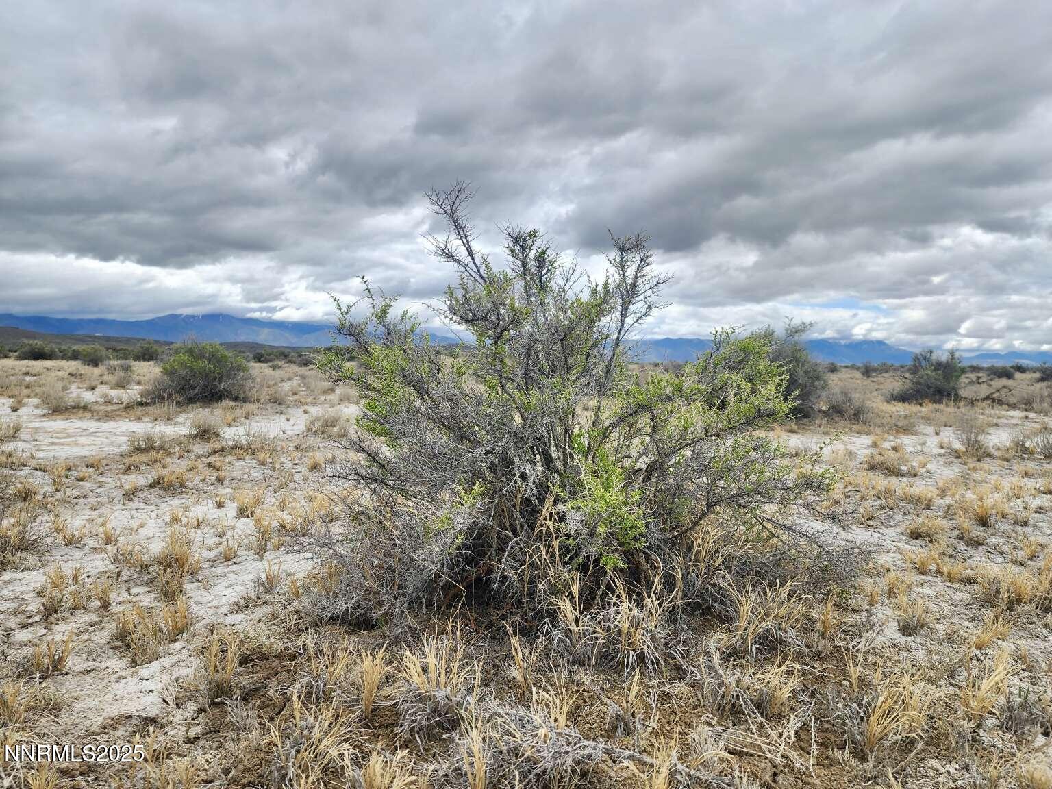 0 Martin Rd Crescent Valley Crescent Valley, NV 89821 - Photo 29 of 29 Sharp.29