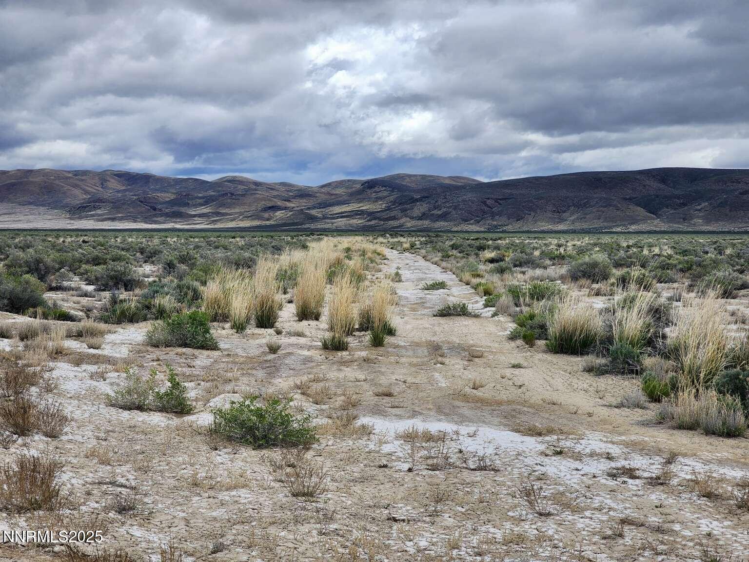 0 Martin Rd Crescent Valley Crescent Valley, NV 89821 - Photo 3 of 29 Sharp.3
