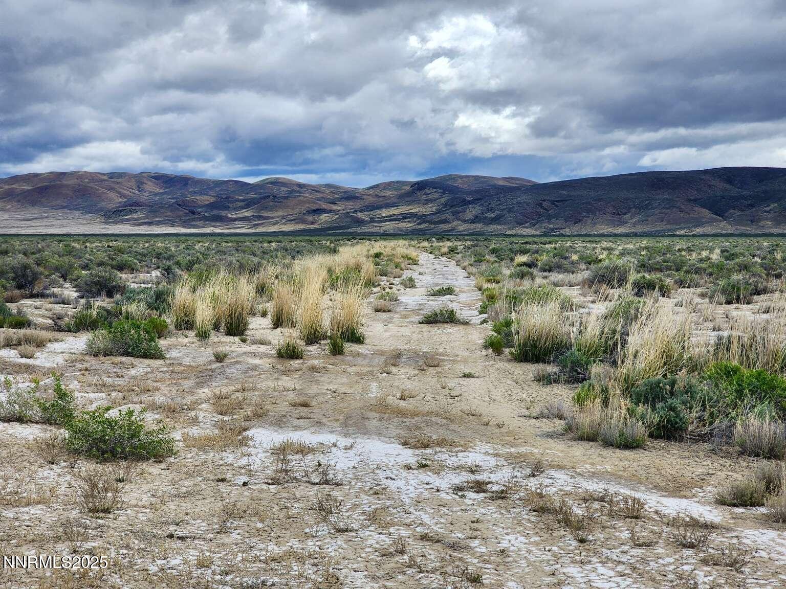 0 Martin Rd Crescent Valley Crescent Valley, NV 89821 - Photo 6 of 29 Sharp.6