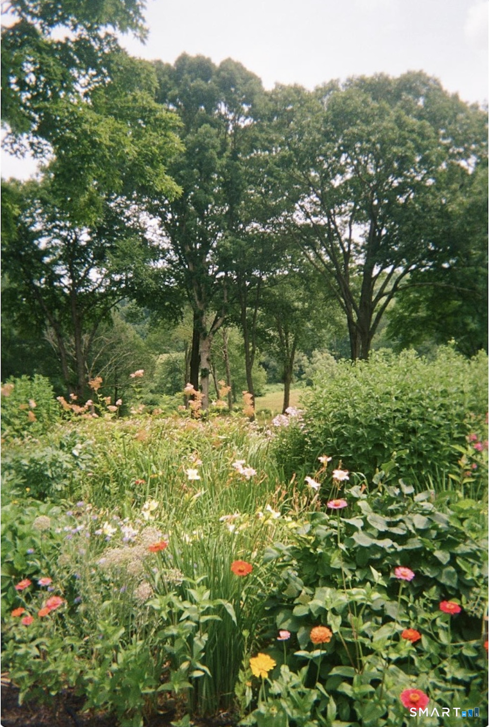 415 South Street Litchfield, CT 06759 - Photo 35 of 40 a view of yard with green space