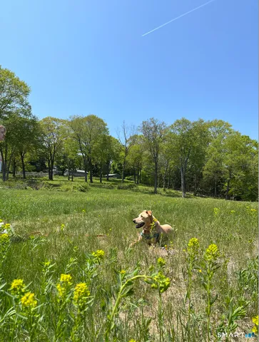 $1,695,000 | 415 South Street, Litchfield, CT 06759