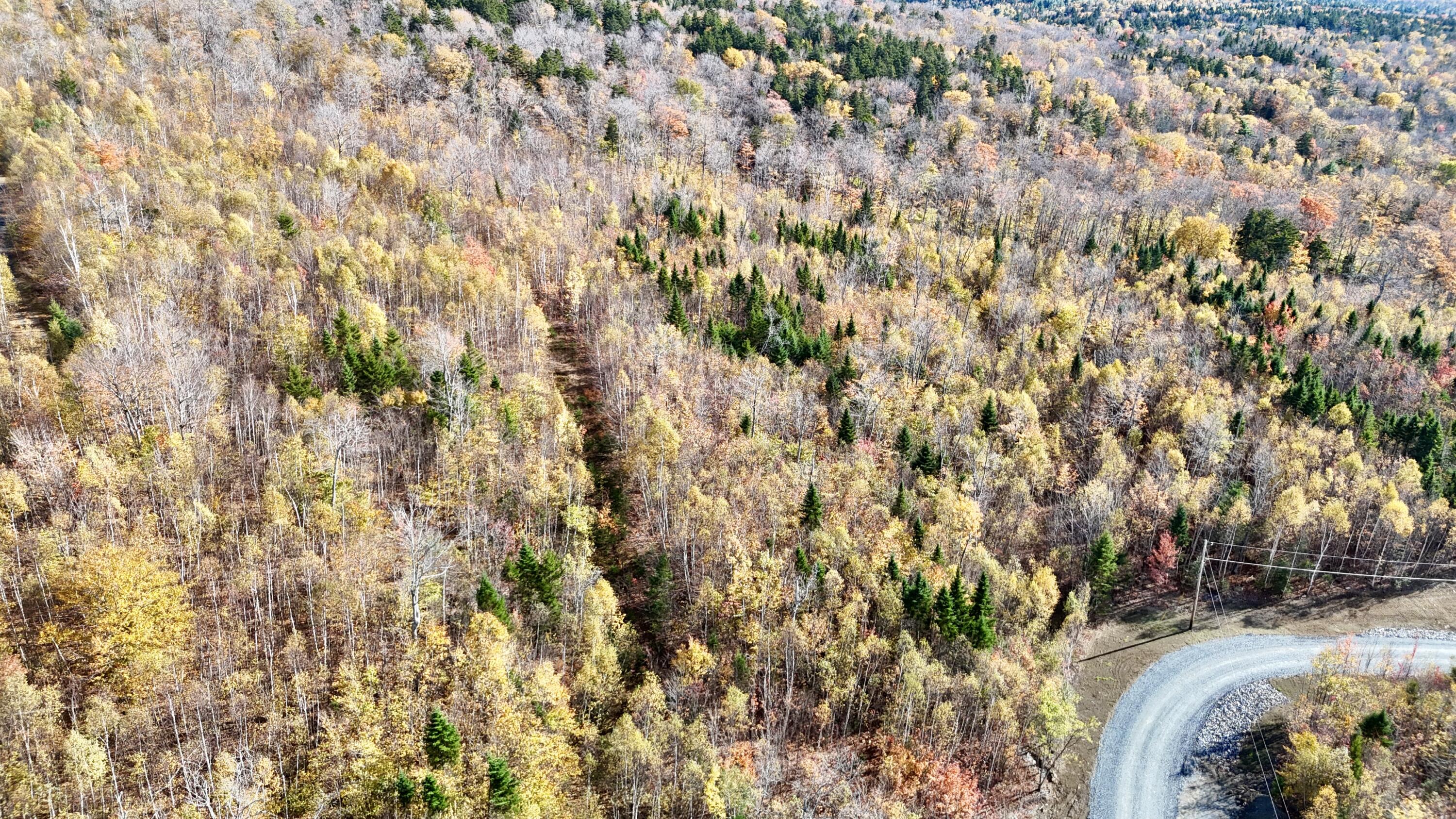 DJI_20251017144657_0335_D