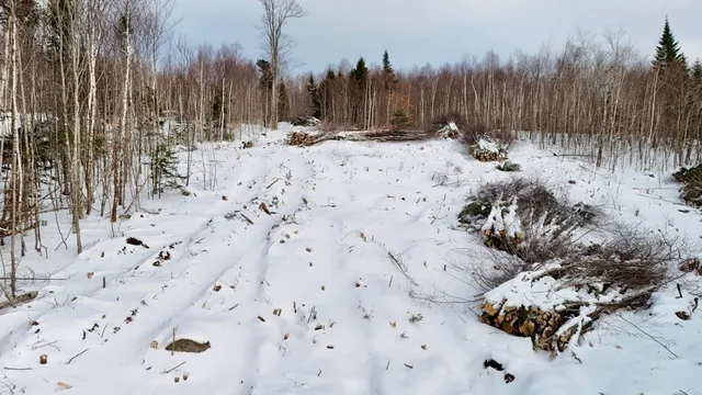 $125,000 | Lot 11 Blair Hill Road, Greenville, ME 04441