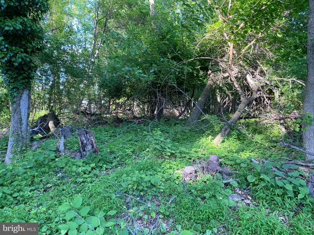 a backyard of a house with lots of green space and chair