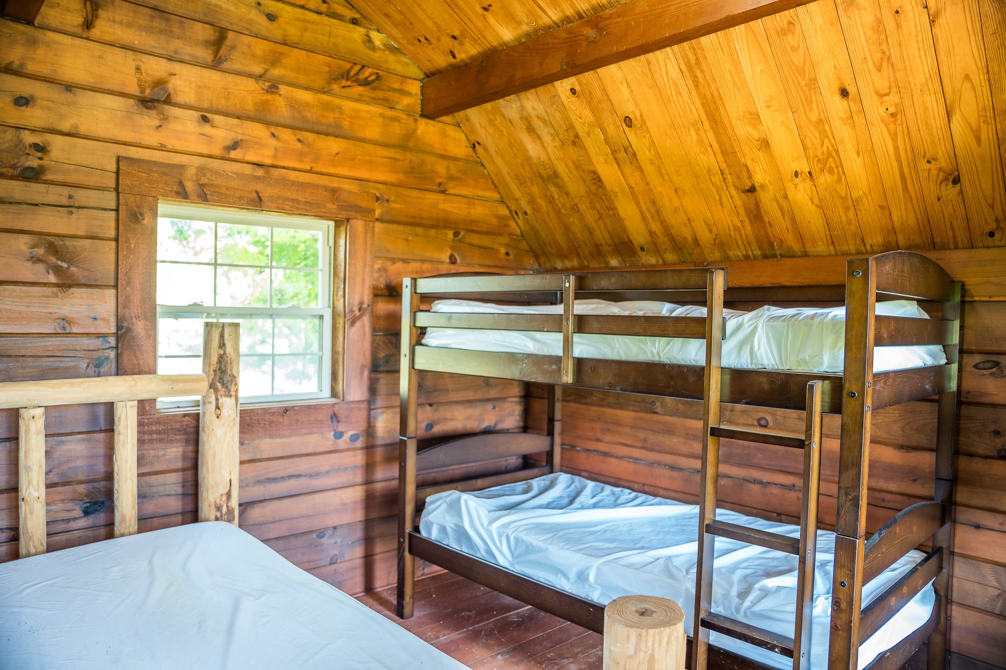 0 Whites Carver Road Lewisburg, KY 42256 - Photo 18 of 26