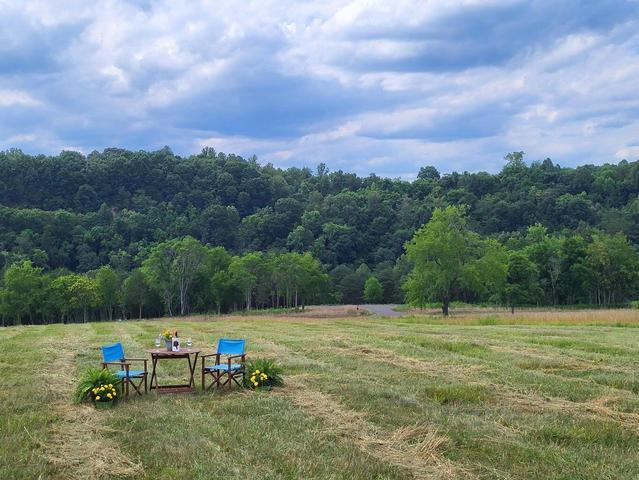 Lot 34 Moorman Road Hardy, VA 24101 - Photo 2 of 6 bigger