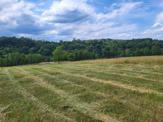 Lot 34 Moorman Road Hardy, VA 24101 - Photo 3 of 6 clear
