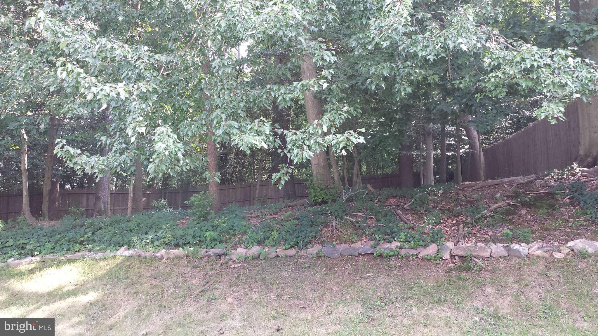 8911 Royal Ridge Lane Laurel, MD 20708 - Photo 16 of 27 Exterior Rear