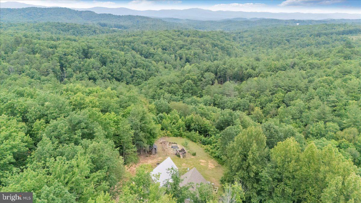 722 Foley Ridge Road Stuart, VA 24171 - Photo 66 of 67 Serene retreat amidst lush greenery.