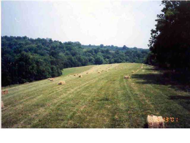 1681 Tract 2 Leathers Road Lawrenceburg, KY 40342 - Photo 10 of 15 Additional Photo