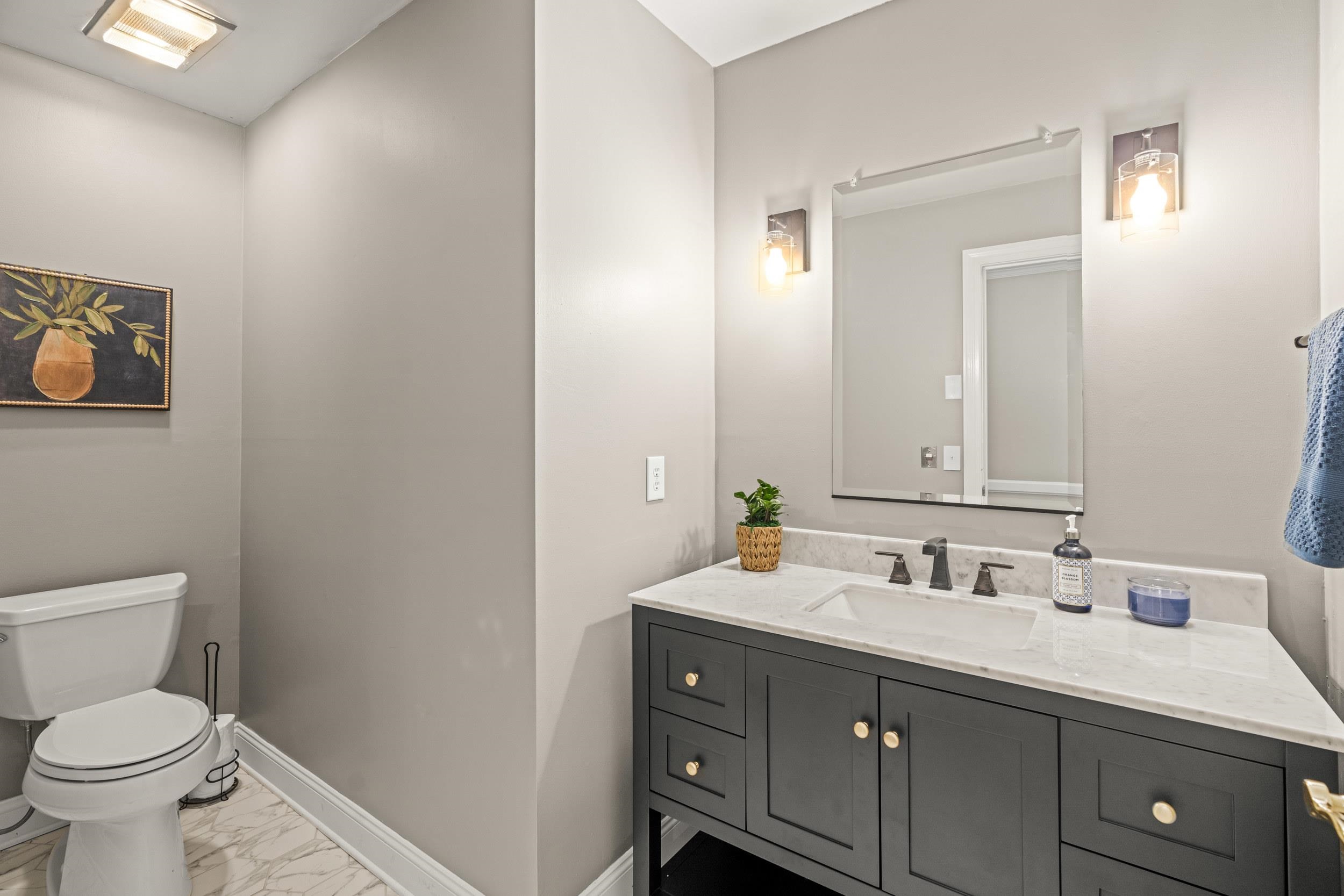 1109 Ross Road Lexington, VA 24450 - Photo 32 of 71 a bathroom with a toilet sink and mirror