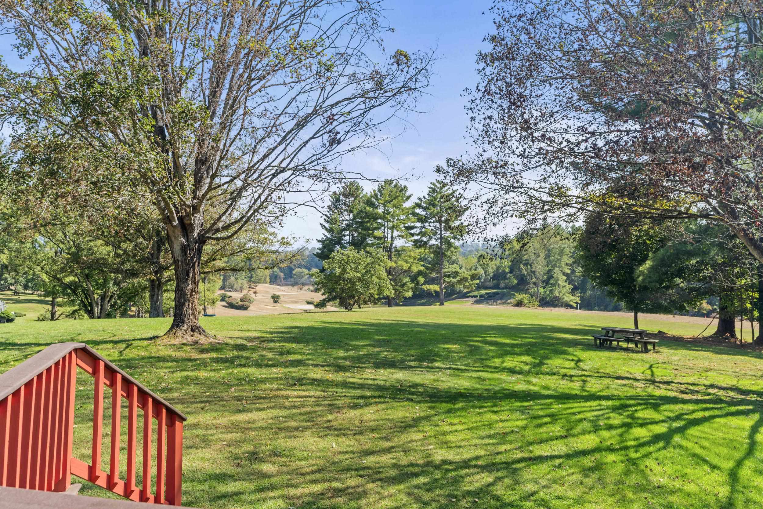 1109 Ross Road Lexington, VA 24450 - Photo 60 of 71 a view of field with grass and a trees