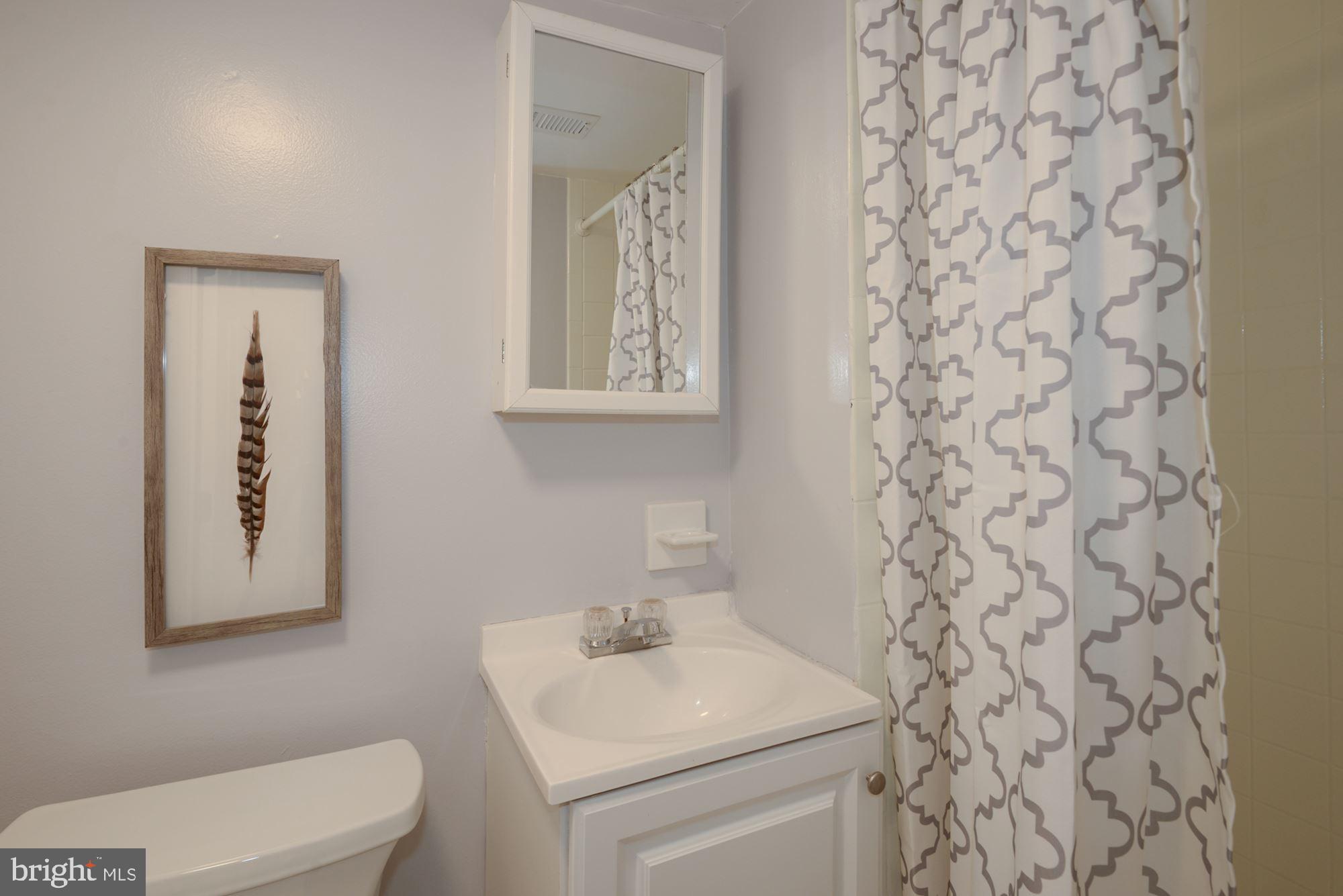 1325 Riggs Street Northwest Washington, DC 20009 - Photo 48 of 51 In-law suite full bathroom #3