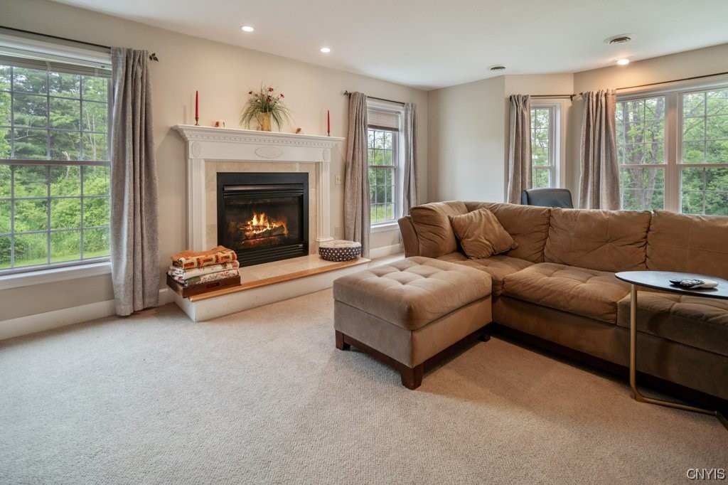 6 Armstrong Road Lansing, NY 14882 - Photo 8 of 49 Gallery Image 8