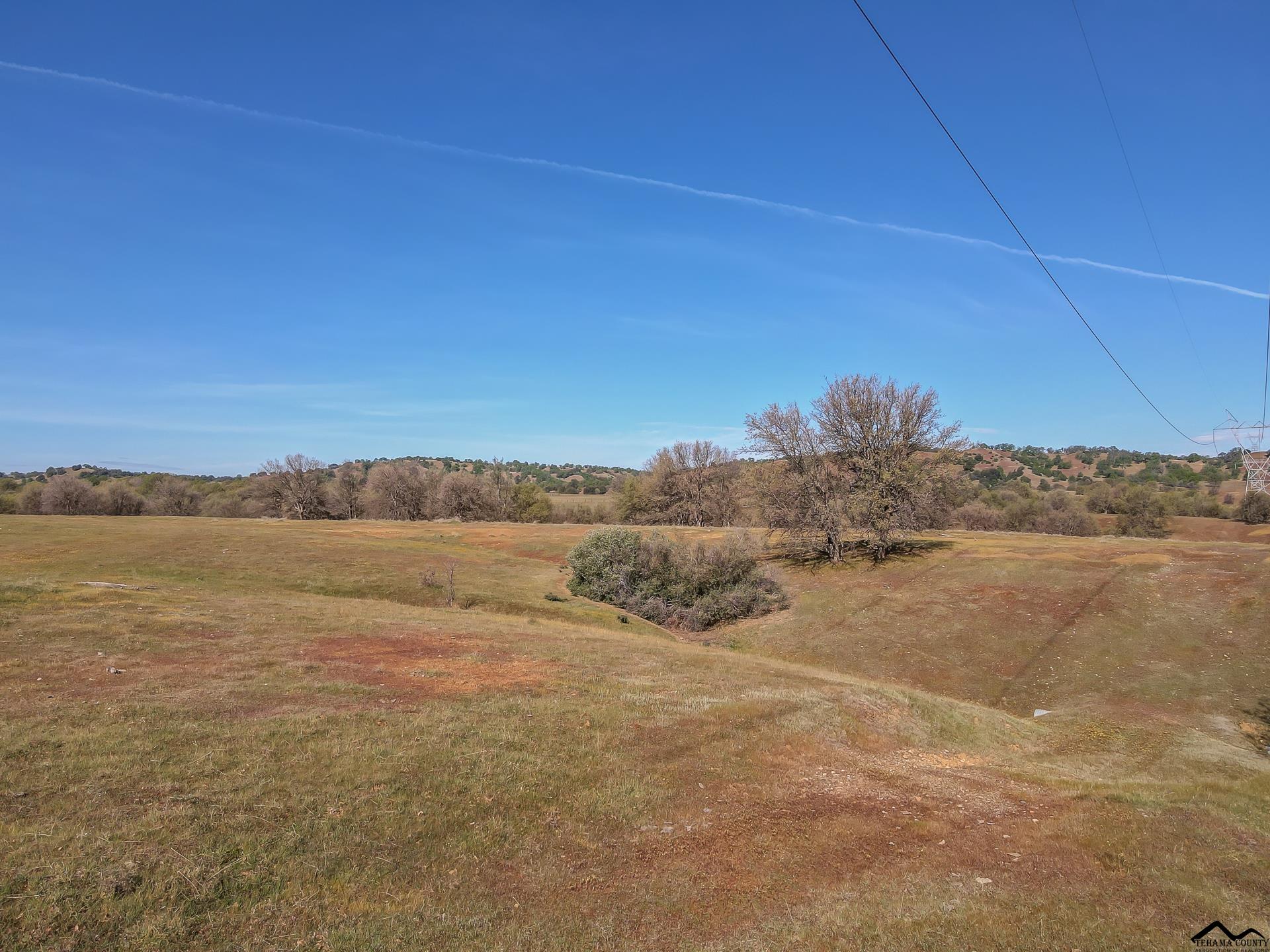 0 Riverview Ranch Road Red Bluff, CA 96080 - Photo 9 of 20 Gallery Image 9