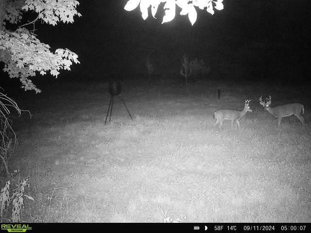 18075 Proper Road Mount Vernon, OH 43050 - Photo 39 of 40 864049056412531-100-4-09112024050008-W10