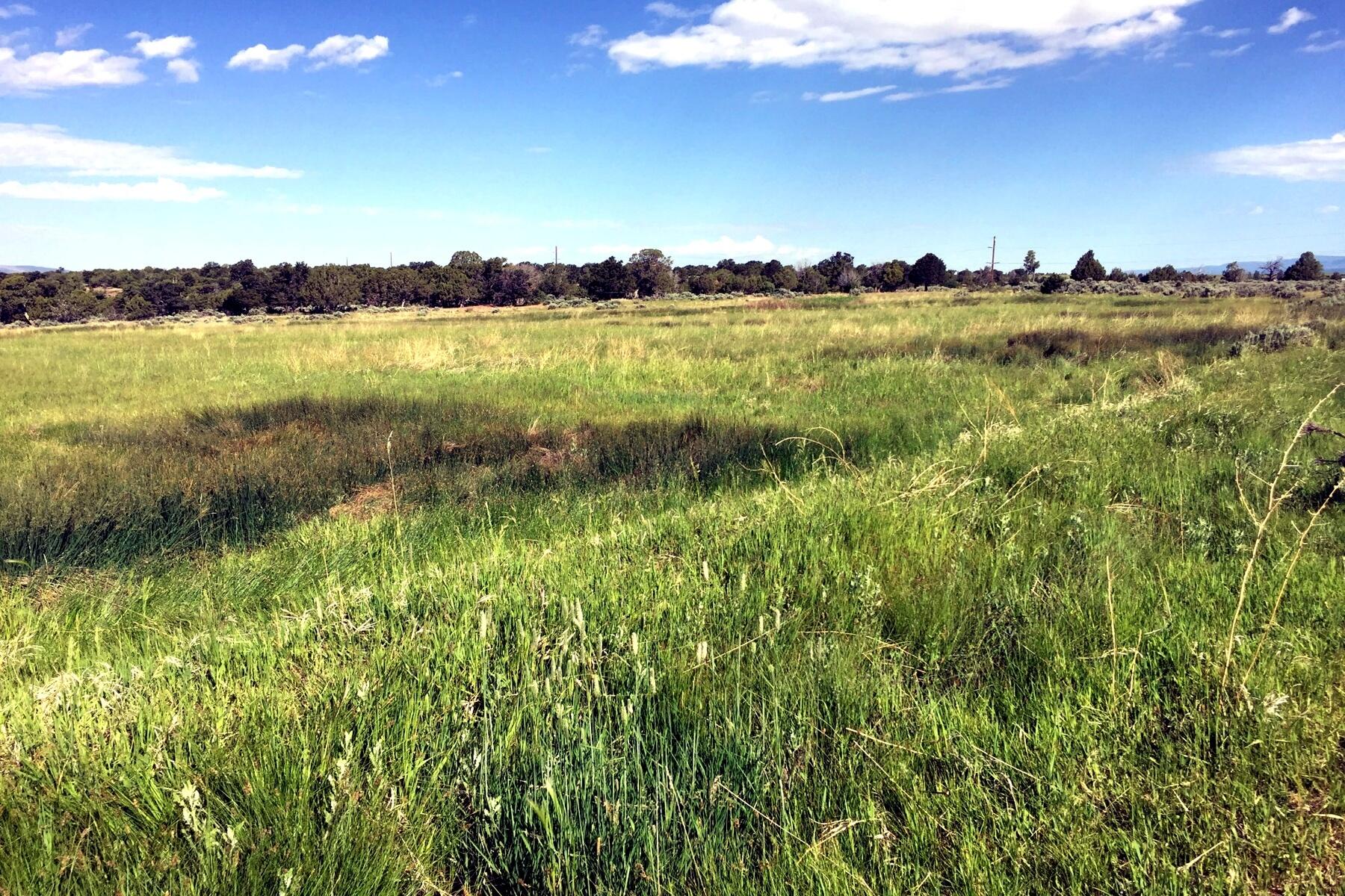 452 County Rd AA 40 Norwood, CO 81423 - Photo 46 of 49 452 County Rd AA 40, Norwood, CO