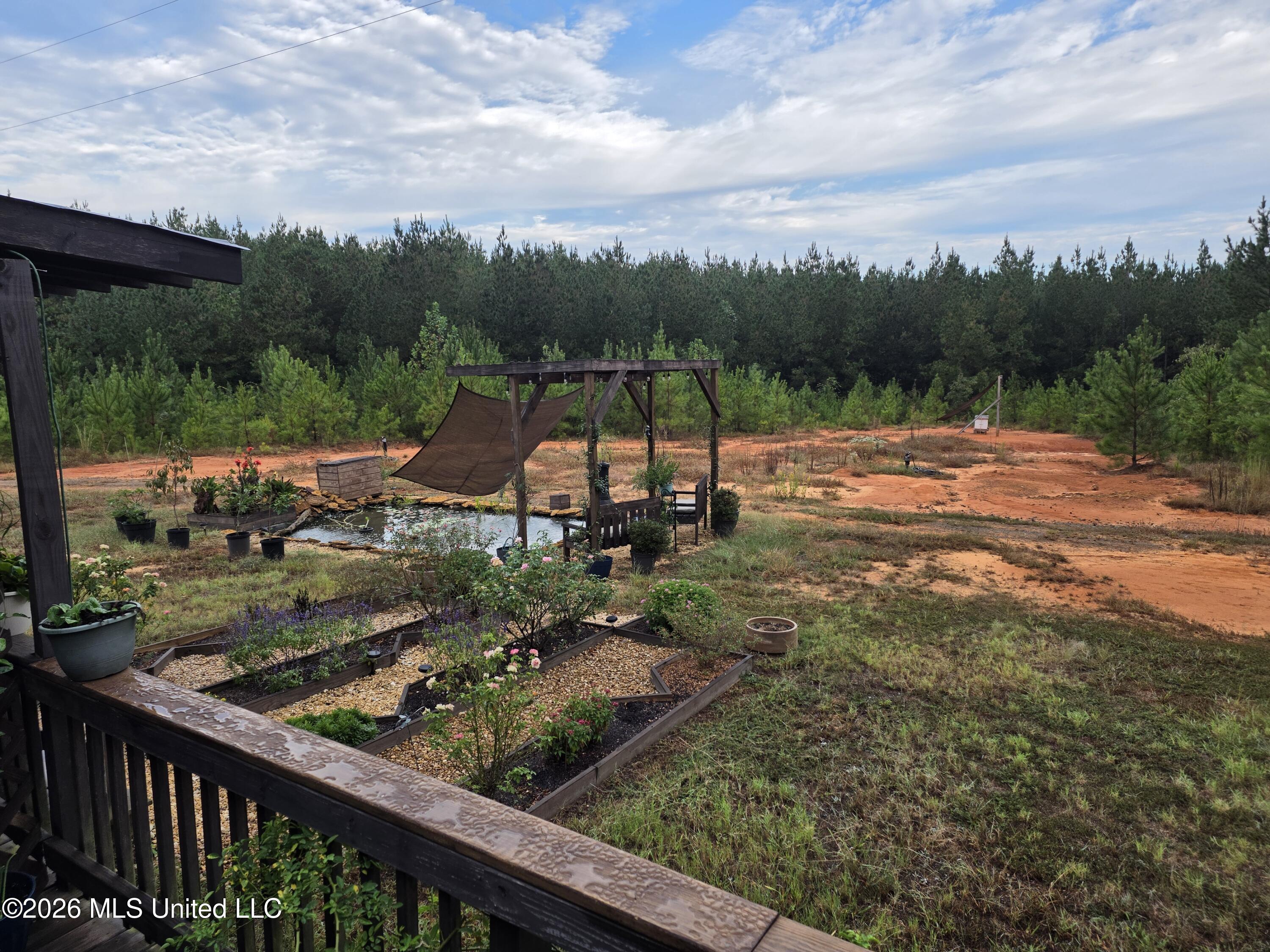 1015 St Anne Road Carthage, MS 39051 - Photo 11 of 45 20261005_080638