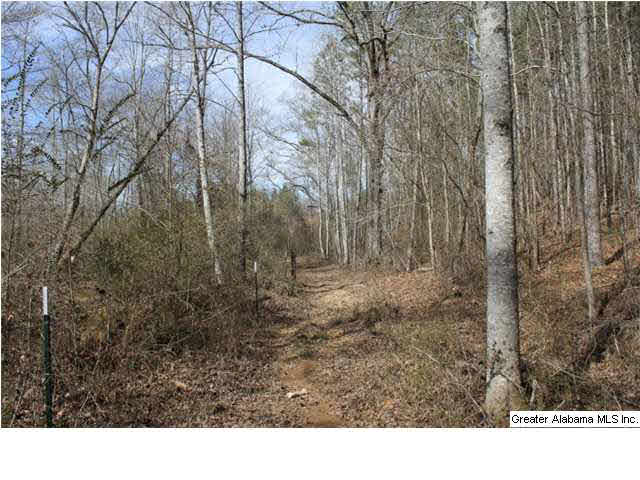 9 Highway 9, Unit 84 Lineville, AL 36266 - Photo 11 of 16