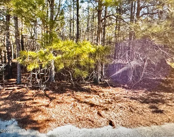 $17,000 | 285 Dodge Point Drive, Pinetops, NC 27864
